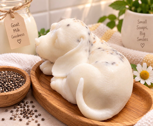Chia Seeds